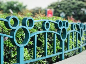 Disneyland