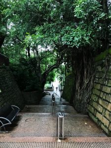 kowloon park 3